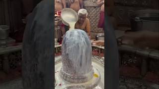 Mahadev status video 💫 bholenath status ☘️ mahakal status#mahadev​ #maha #bholenath​ #shorts​ #shiv