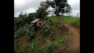 Bukpui loah kan feh - Small farm harvesting