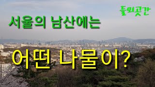 산야초탐사1.서울 남산에는 어떤나물이 있을까? 들뫼곳간 나물이야기