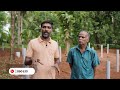 pvc പൈപ്പിൽ കുരുമുളക് കൃഷി പ്രാരംഭഘട്ടങ്ങൾ how to install pvc pipes for pepper cultivation