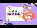 Plaas Diere