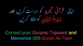 Memorize 095-Surah Al-Teen (complete) (10-times Repetition)