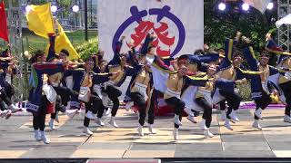 中京大学 晴地舞　2018犬山踊芸祭6/2(土)　メイン会場