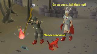 I Fake AFK Splashed in Wilderness and Tricked Players into Skulling