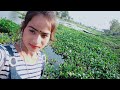 JayshreeDailyVlog/ Jayshree Daily Vlog