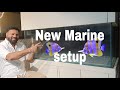 New Marine setup || Copperband butterfly fish watch before adding in your tank .