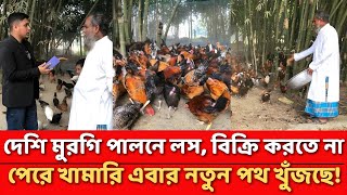 দেশি মুরগি পালনে লস, বিক্রি করতে না পেরে খামারি সিদ্ধান্ত নিয়েছেন নতুন পথে!\