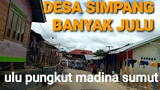 DESA SIMPANG BANYAK JULU ULU PUNGKUT MANDAILING NATAL SUMUT