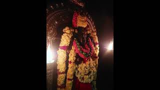 Sri Maha Vishnu Durgai Amman Darisanam