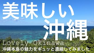 那覇市内2泊＆ハレクラニ1泊して沖縄本島を満喫した旅！