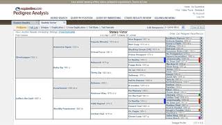 equineline Pedigree Analysis Program Stakes Results Review