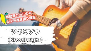 【簡単】ツキミソウ/Novelbrightをバレーコードなしでギター弾き語りするための講座