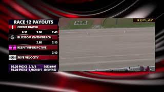 Hanover Raceway Live