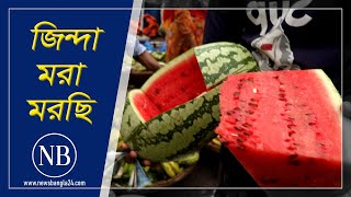 ৩০০ টাকার তরমুজ ১০০ টাকায়ও কিনছে না কেউ | Watermelon Price Drop