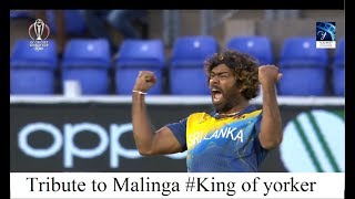 Tribute to Lasith Malinga (2004-2019)