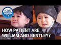 How patient are William and Bentley? [The Return of Superman/2020.03.29]