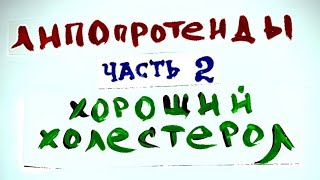 Часть 2. ЛПВП - хороший холестерол. Биохимия