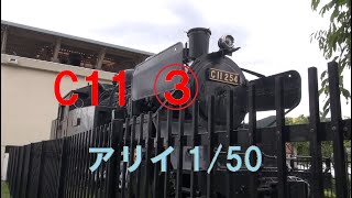 C11③