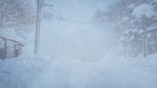 Howling Wind \u0026 Blowing Snow for Sleep, Relax | Wind Sounds | Winter Storm \u0026 Icy Snowstorm Ambience