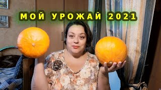 Подвожу итоги огородного сезона  2021