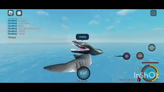 Rhomaleosaurus gameplay | Oceanic testing 2 | Roblox