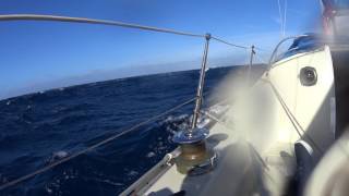 Mistral Sailing - Corsika - Bft 6 - 2.5m Waves