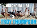 TROY AND RAQUEL THOMPSON GAMEFOWLS | OKLAHOMA USA