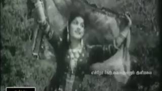 TAMIL OLD--Kaniyirukku virunthu vaikka(vMv)--ETHAIYUM THANGUM IDHAYAM 1962