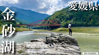 【四国：愛媛県・金砂湖】見えバスがウジャウジャいる⁉︎ なんだこの素晴らしいフィールドは‼︎ 『バス釣り』ロングワーム　MMZ フリーリグ　ネコリグ　動き アクション 使い方 見えバス　サイトOSP