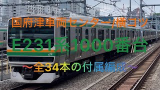 ［全34本］E231系1000番台国府津車の付属編成