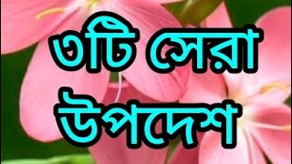 ৩টি সেরা উপদেশ #herat touching motivation quotes in Bengal.