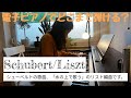 【ピアノ】シューベルト＝リスト「水の上で歌う」(12の歌より）【解説付き】Schubert/Liszt, Auf dem Wasser zu singen