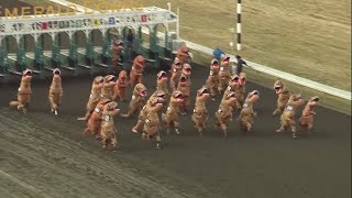 : Dinosaurs take the track in viral T-Rex races