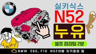 내차도 누유?? bmw N52 누유 점검팁 2분정리 #bmw #n52 #e60 #f10