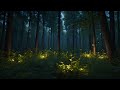 1hour relaxing music in the silent forest 322 calm stress relief meditation