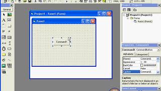 13 create a command button - Visual Basic
