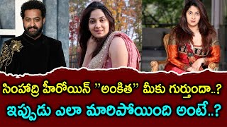 Simhadri Heroin Ankitha Then and Now | Breaking News Telugu