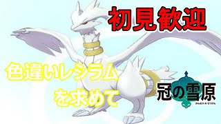 【ポケモン剣盾】色違いレシラムを求めてダイマックスアドベンチャー【初見歓迎】