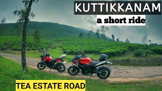 Kuttikkanam - a short ride through the TEA estate road