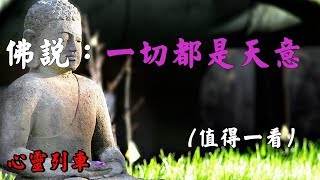 【心靈列車 】佛說：一切都是天意（值得一看）