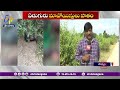 encounter in mulugu dist 7 maoists died ములుగు జిల్లా ఎన్‌కౌంటర్‌ ఏడుగురు మావోయిస్టులు మృతి