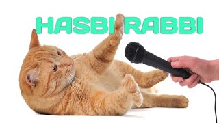 HASBEE_ RABBEE_ JALLALLAH_NAAT_SHAREEF_TALK_TO_CAT_IMRANNODE#CAT_FUNN#HASBEE_RABBEE_ FAVOURITE