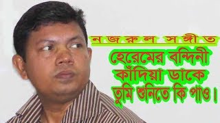 হেরেমের বন্দিনী কাঁদিয়া ডাকে | আব্দুর রউফ | কাজি নজরুল ইসলাম