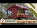 Why and When to Use Caged Feeders