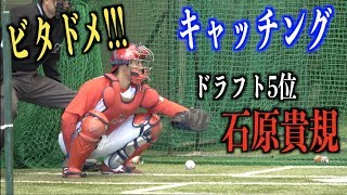 逸材発見！ルーキーとは思えないキャッチングをする石原貴規【広島東洋カープ】