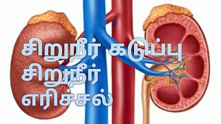 நீர் கடுப்பு, சிறுநீர் எரிச்சல்/urine burning