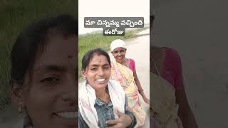 మా చిన్నమ్మ వచ్చింది ఈరోజు #trdingshorts #agriculture #viralvideo