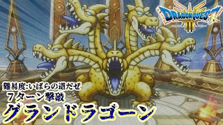 【ドラクエ3 リメイク】真の裏ボス「グランドラゴーン」戦　7ターン撃破　いばらの道だぜ【ネタバレ注意】