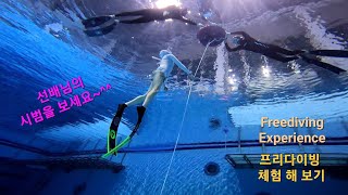 프리다이빙/freediving/체험/Experience/평일 수원스포츠아일랜드 잠수풀 한가하네/숨참기/핀차기/스노클링/이퀄라이징/1.5기압느껴보기/고프로/gopro/직장인 이색취미