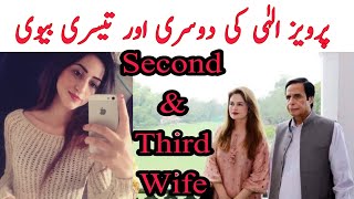 Pervaiz Elahi Second Marriage | Who is Saira Anwar FIA | Pervaiz Elahi Scandal | Moonis Elahi